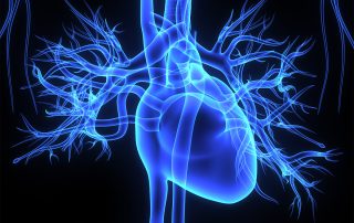 Aspekte ganzheitlicher Kardiologie